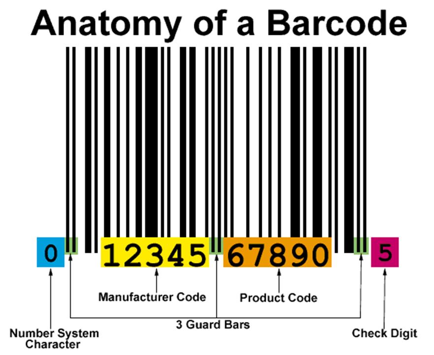 anatomi barcode