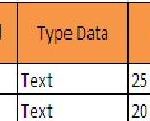 contoh field 1