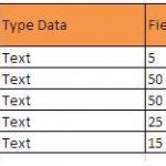 contoh field 3