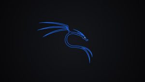 Kelebihan dan Kekurangan Kali Linux OS Kelebihan dan Kekurangan Kali Linux OS
